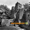 Burg Sickingen