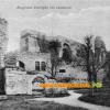 Burgruine Sickingen