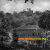 Rathaus und Sickinger Burg