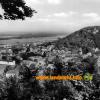 Landstuhl (Pfalz)