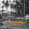 Ramstein Air Base